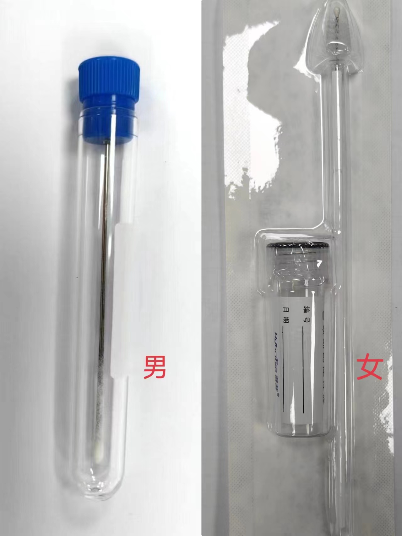 人乳头瘤病毒（HPV）核酸分型检测