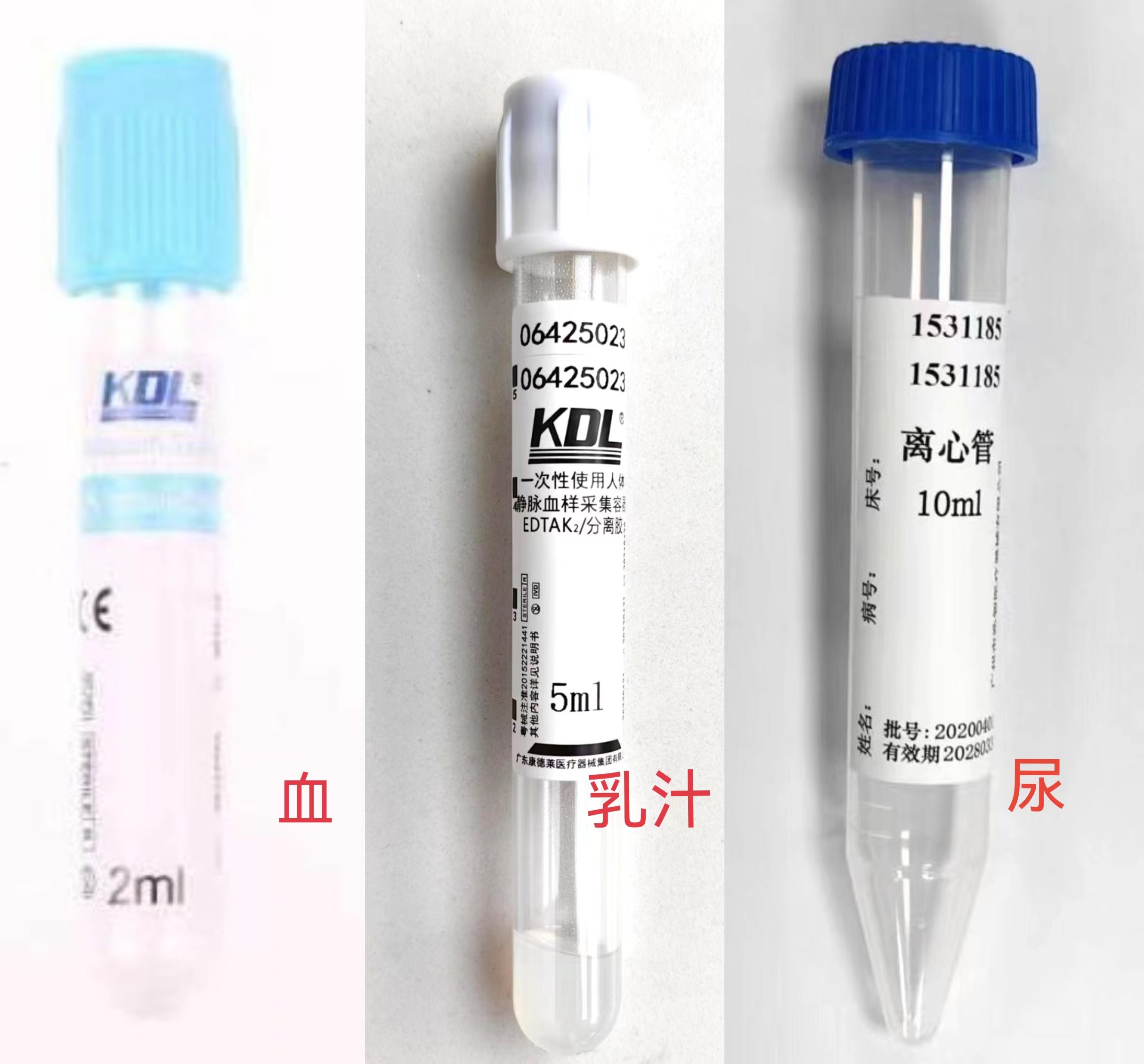 人巨细胞病毒DNA荧光定量(HCMV-DNA)
