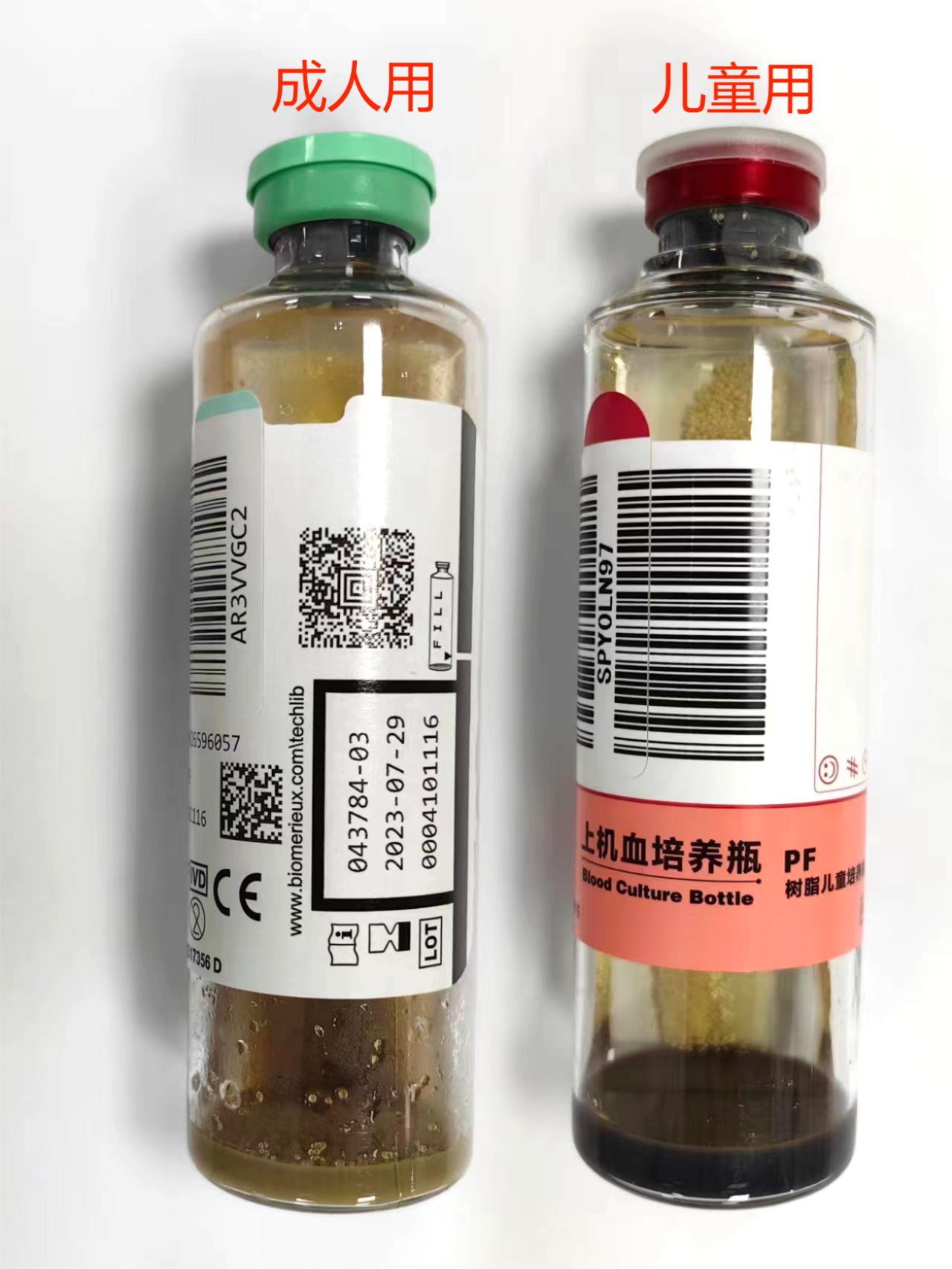 血培养(有菌加做药敏)