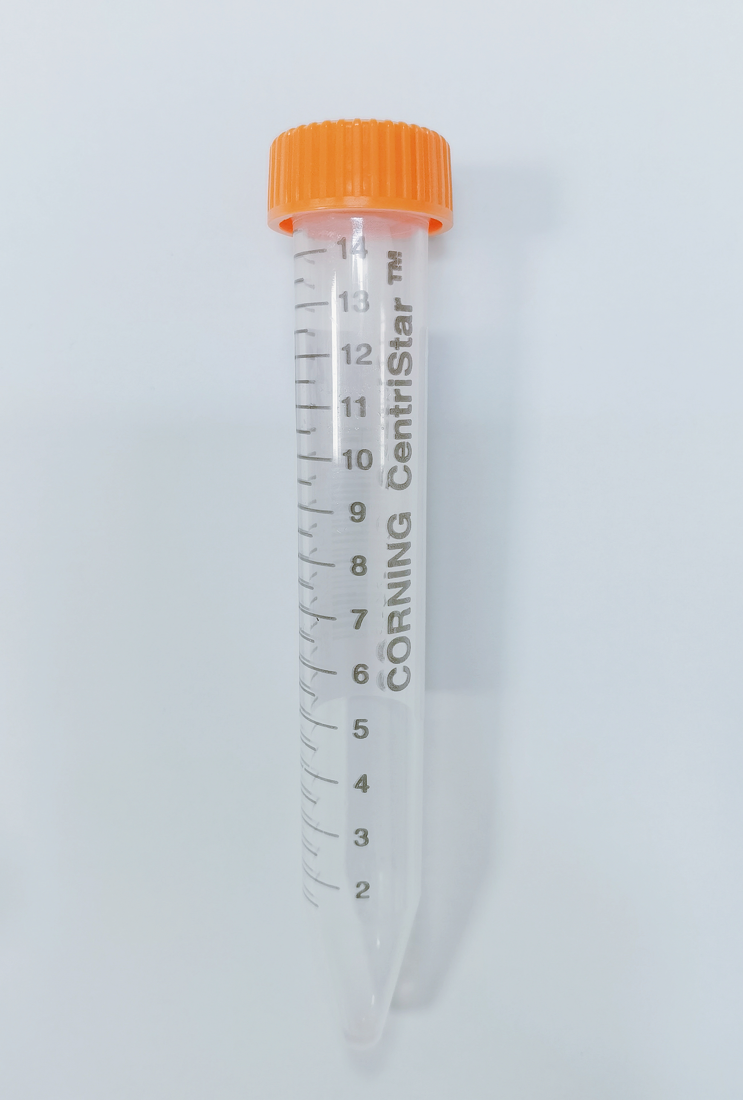 羊水染色体分析